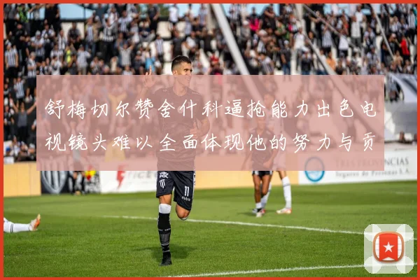 舒梅切尔赞舍什科逼抢能力出色电视镜头难以全面体现他的努力与贡献