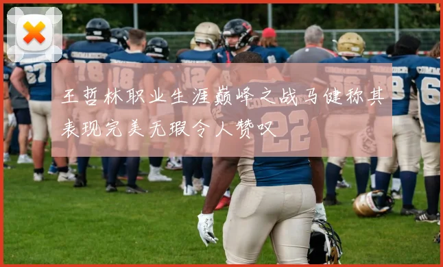王哲林职业生涯巅峰之战马健称其表现完美无瑕令人赞叹